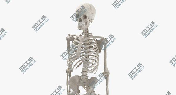 images/goods_img/20210312/3D Real Human Woman Skeleton Bones Anatomy 01 white/5.jpg